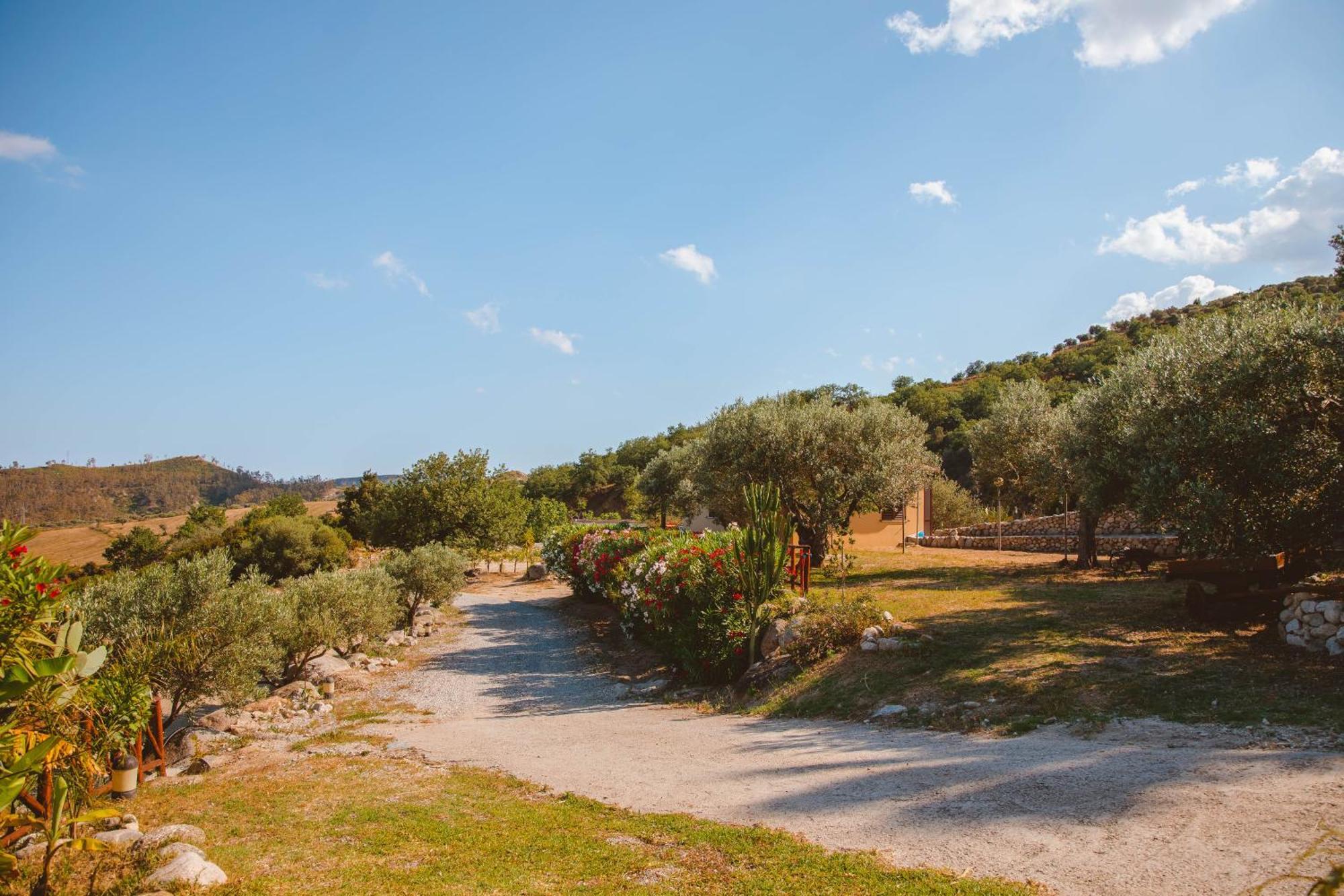 Calami - Villa Romeo - Private Apartments With Pool, Seaview & Olive Grove Santa Caterina Dello Ionio Marina エクステリア 写真